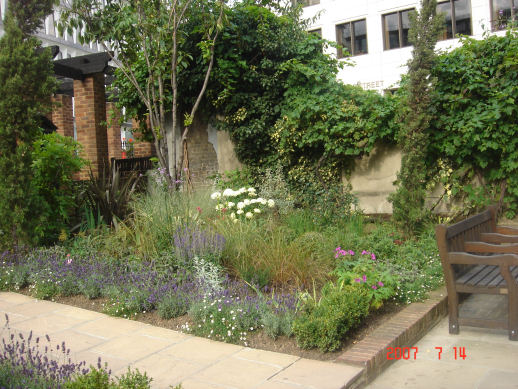 The Cleary Garden